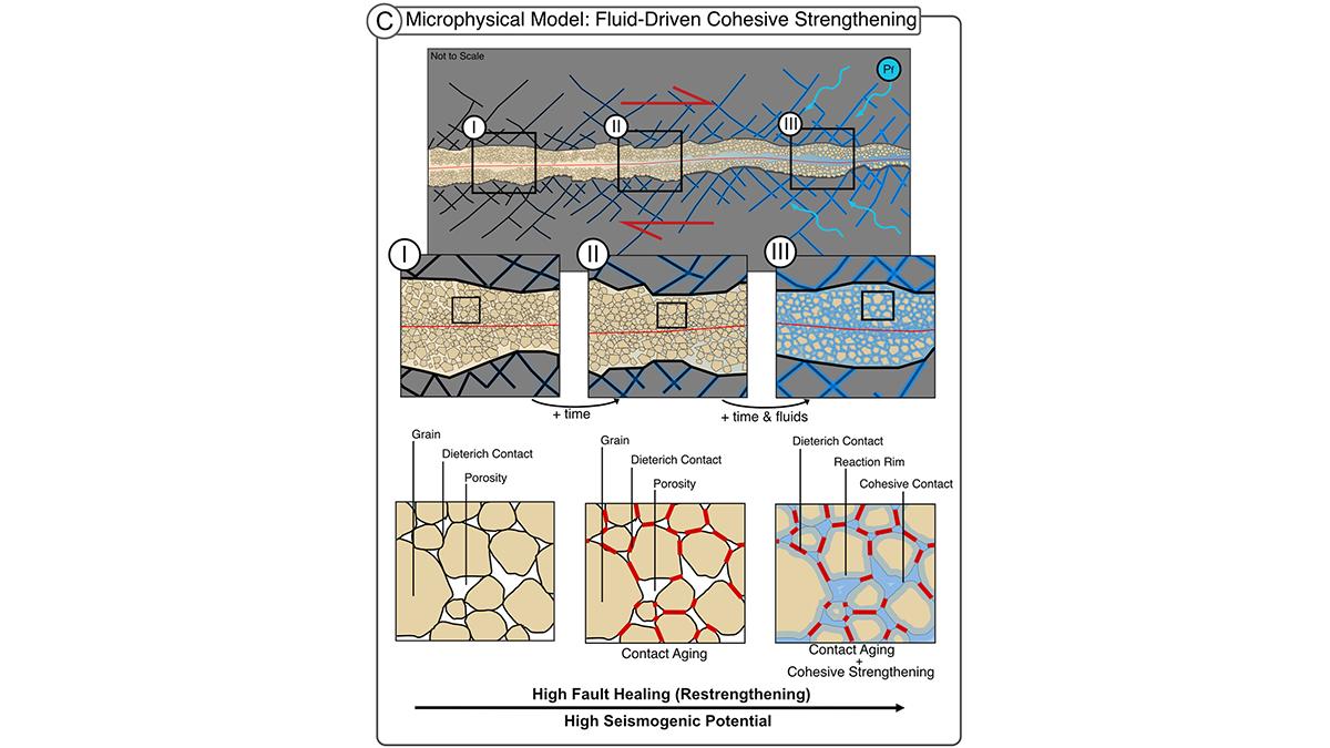 Driven Reactions Restore Fault Strength Between Earthquakes