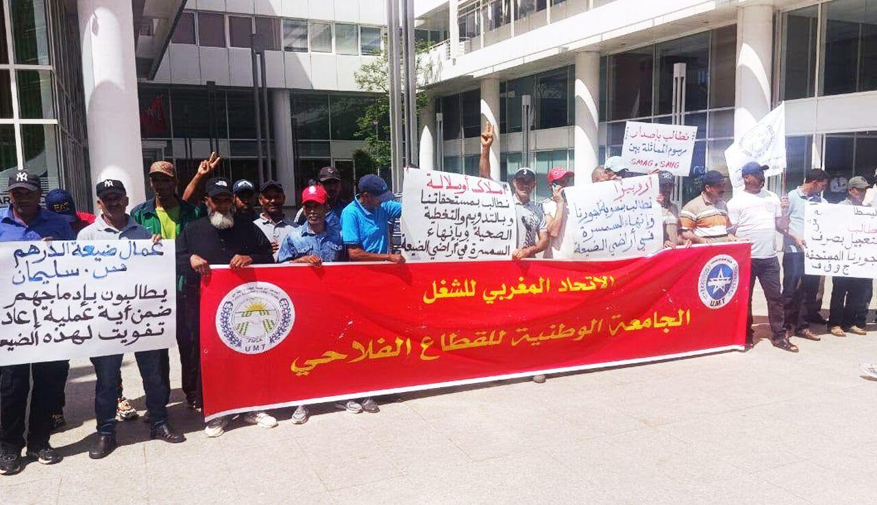 Morocco: mobilization of agricultural workers against land corruption and for the defense of their rights