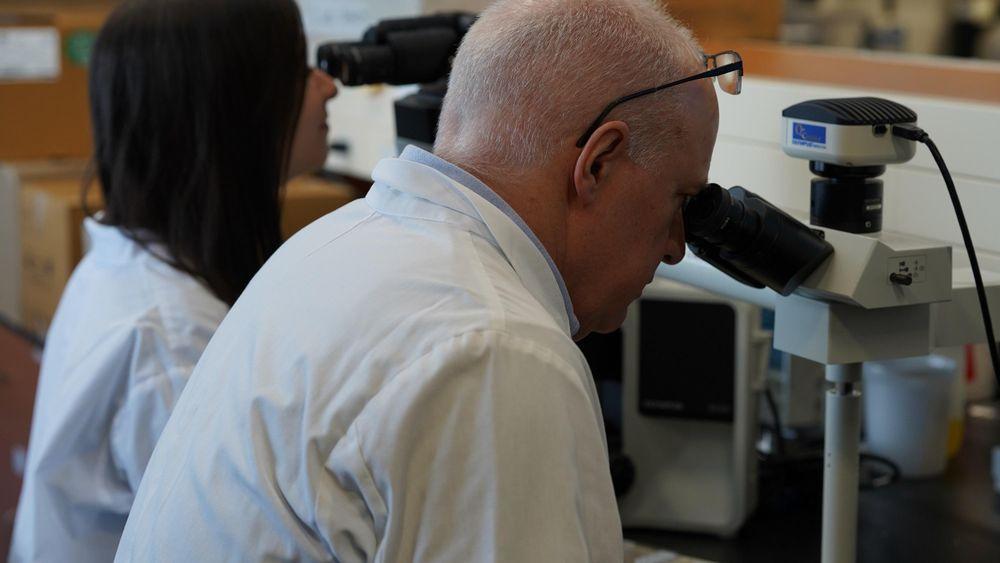 Cats could help scientists better understand human cancer, study says