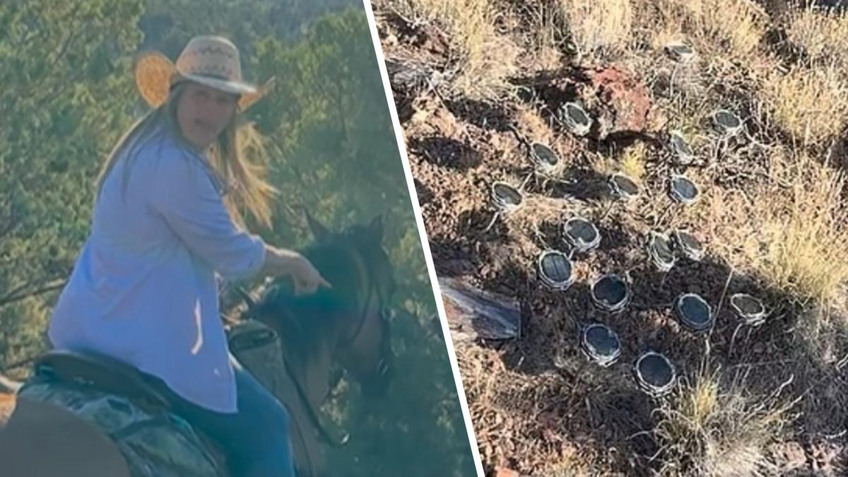Mum and daughter make mystery speakers find on ‘haunted’ Mount Shasta in California
