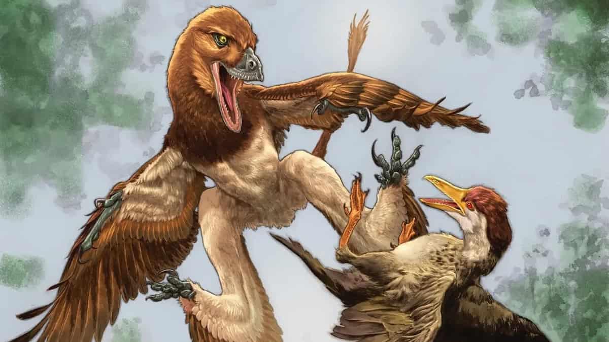 Four-Winged Dinosaur May Have Hunted Early Birds 120 Million Years Ago