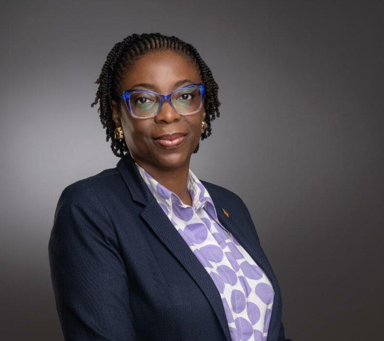 Access Holdings Executive Director, Bolaji Agbede Retires