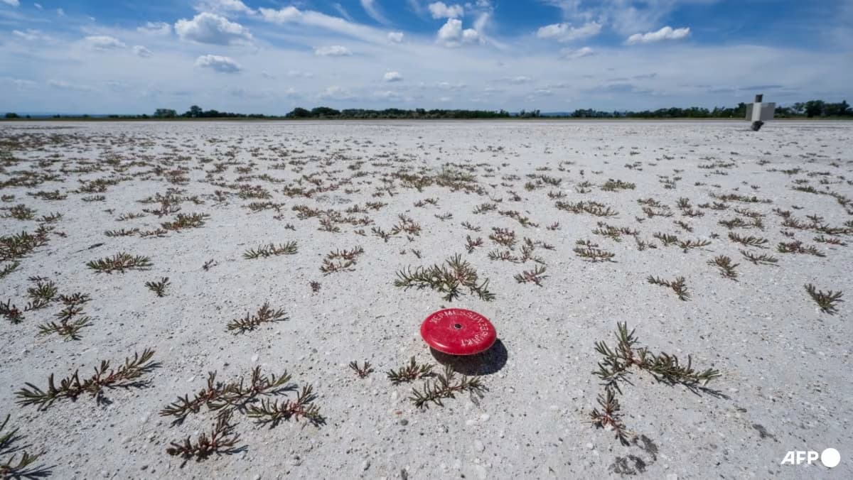 Climate change to blame for intensity of Europe heatwave: Scientists