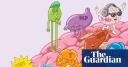 Hormones on the brain? Everything you need to know about HRT, testosterone, melatonin and more