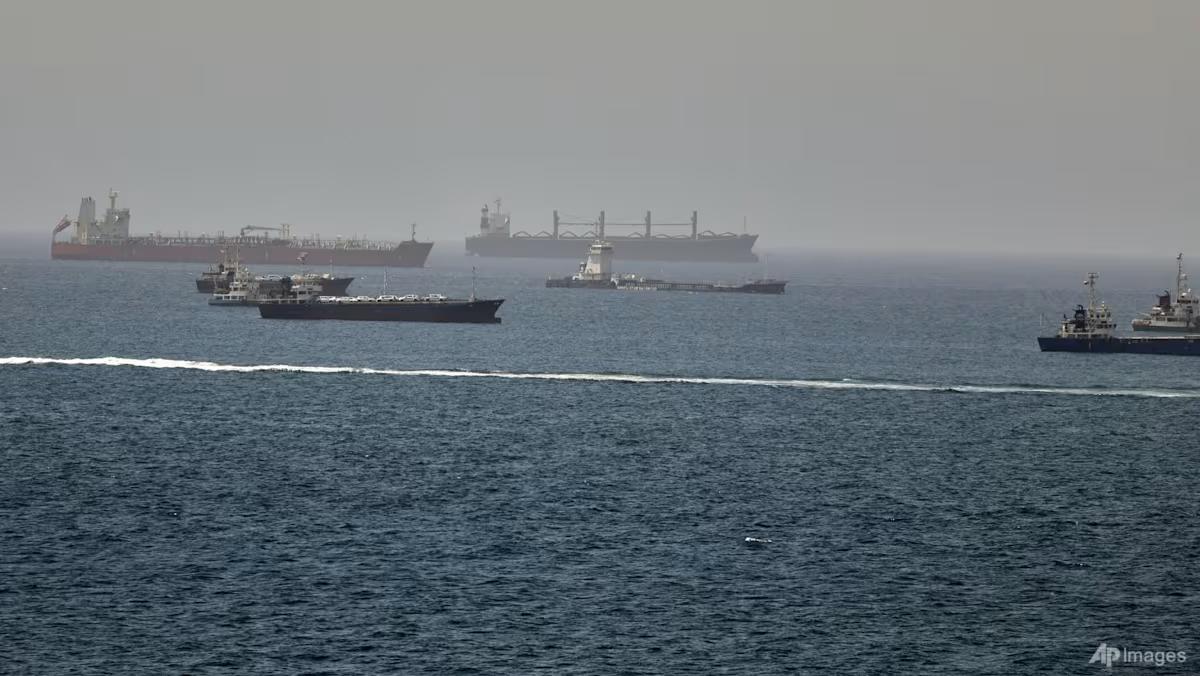 CPTPP ministers welcome US-Iran deal, urge safe passage through Strait of Hormuz