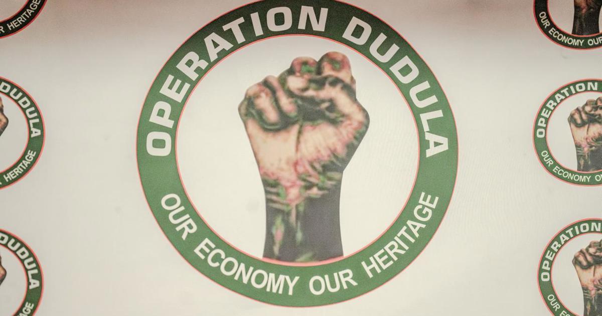 June 30 protests: Operation Dudula enters the fray in Joburg